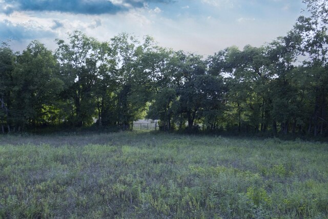 0 Akin Ridge Rd, Williamsport, TN 38487 - photo 17