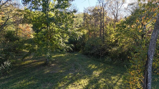 0 Akin Ridge Rd, Williamsport, TN 38487 - photo 4