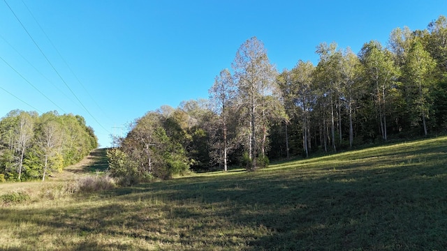 0 Akin Ridge Rd, Williamsport, TN 38487 - photo 11