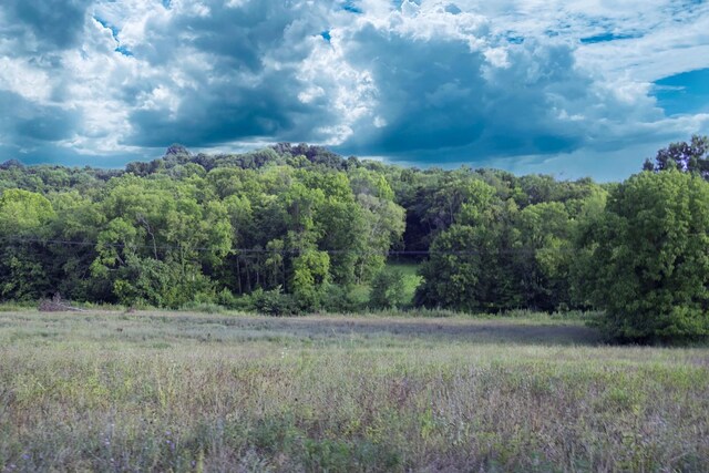 0 Akin Ridge Rd, Williamsport, TN 38487 - photo 16