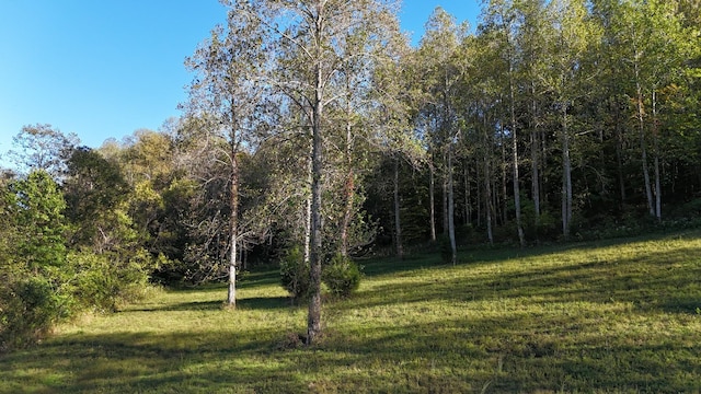 0 Akin Ridge Rd, Williamsport, TN 38487 - photo 10