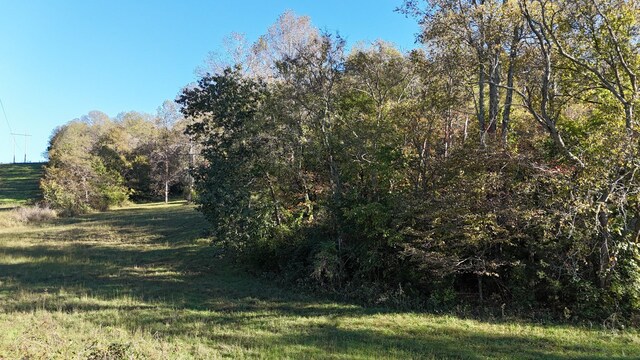 0 Akin Ridge Rd, Williamsport, TN 38487 - photo 12