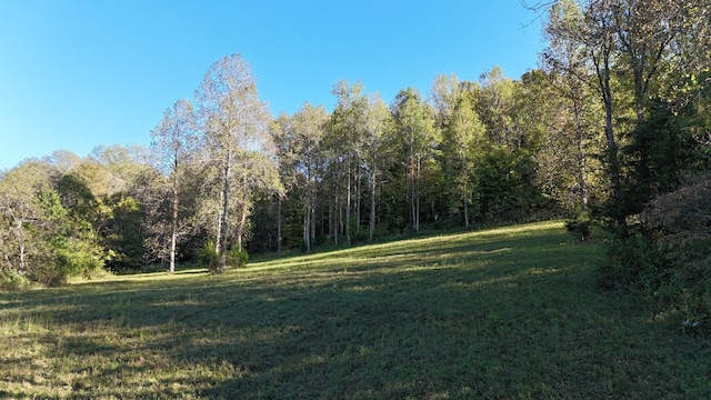 0 Akin Ridge Rd, Williamsport, TN 38487 - photo 2