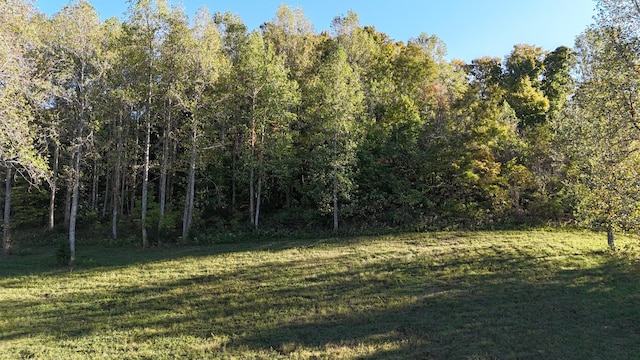 0 Akin Ridge Rd, Williamsport, TN 38487 - photo 9