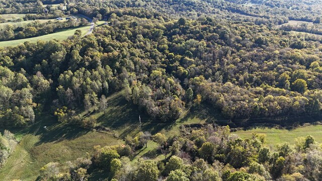 0 Akin Ridge Rd, Williamsport, TN 38487 - photo 13
