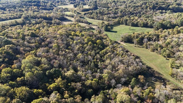 0 Akin Ridge Rd, Williamsport, TN 38487 - photo 14