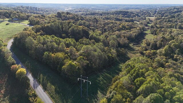 0 Akin Ridge Rd, Williamsport, TN 38487 - photo 6