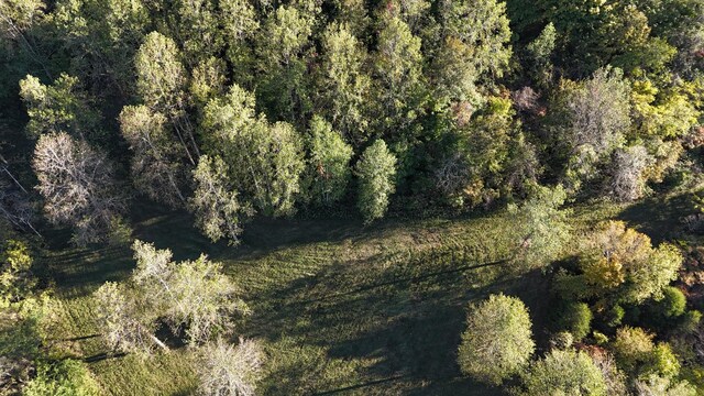 0 Akin Ridge Rd, Williamsport, TN 38487 - photo 8