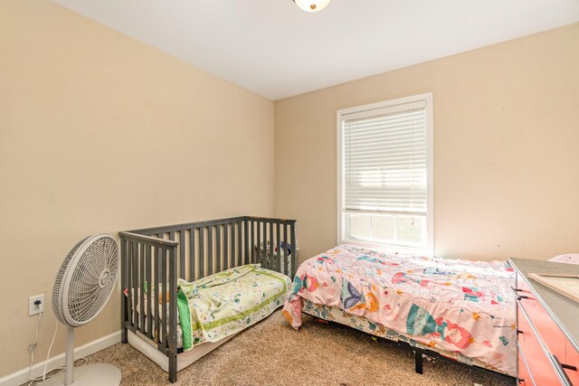 1042 Red Apple Ct, Clarksville, TN 37040 - photo 15