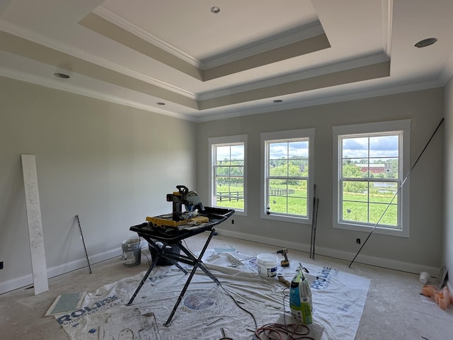 230 Hall Ct, Clarksville, TN 37043 - office space with plenty of natural light, a raised ceiling, crown molding, and baseboards