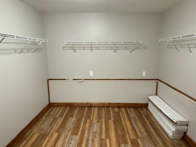 spacious closet with wood finished floors