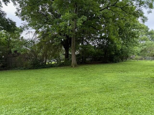 1302 Old Estill Springs Rd, Tullahoma, TN 37388 - view of yard