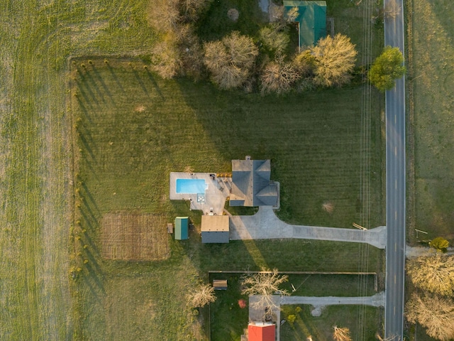 bird's eye view