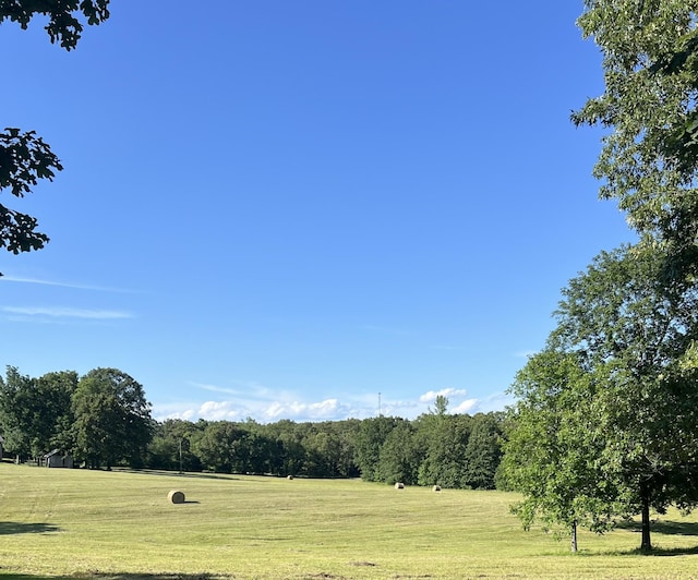 0 Shaffer Rd, Summertown, TN 38483 - photo 1