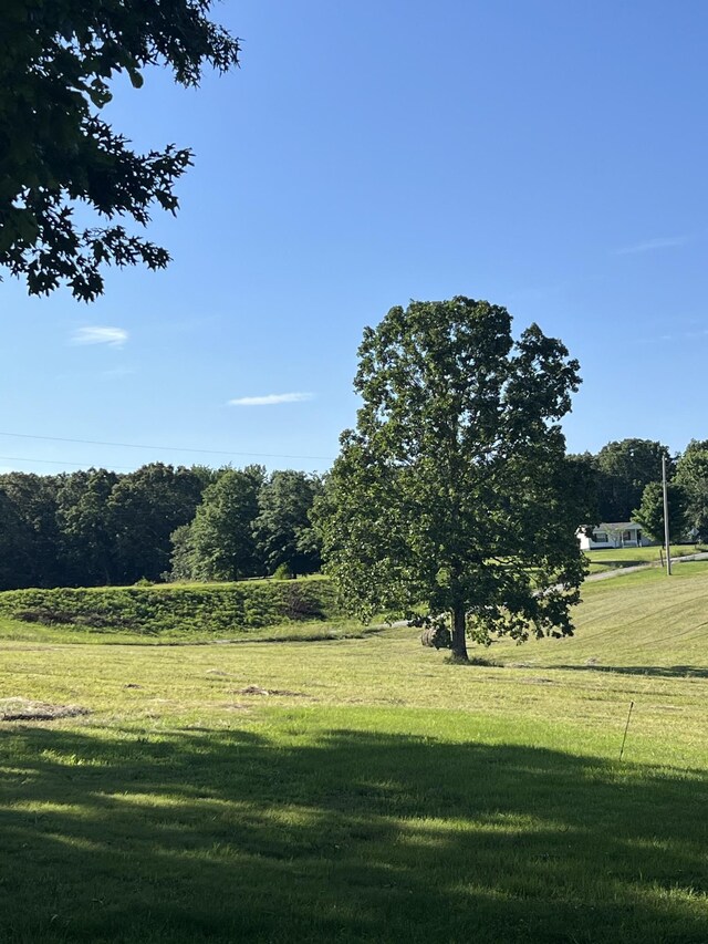 0 Shaffer Rd, Summertown, TN 38483 - photo 6