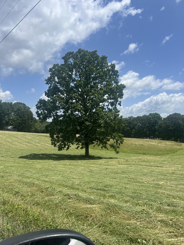 0 Shaffer Rd, Summertown, TN 38483 - photo 7