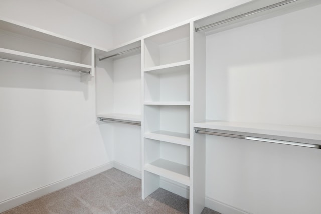 walk in closet with light carpet