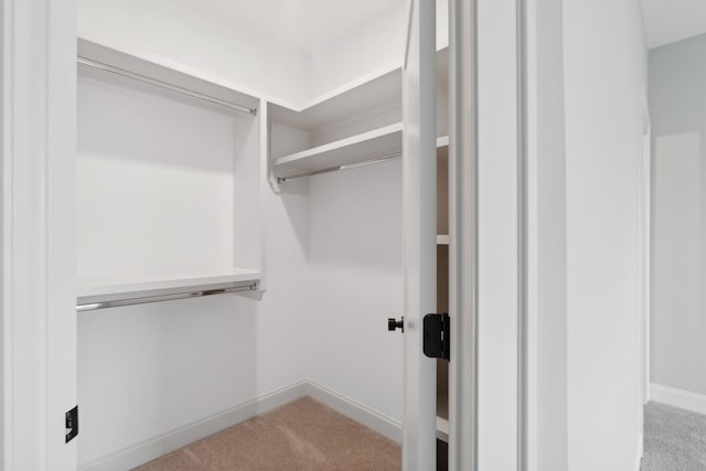 walk in closet with light carpet