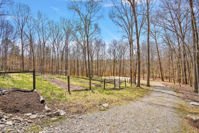 1748 Riverhaven Dr, Adams, TN 37010 - view of road