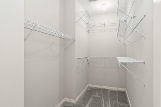 102 Highland Rdg, Hendersonville, TN 37075 - walk in closet with carpet