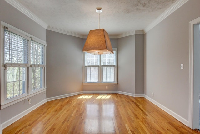526 Christel Springs Dr, Clarksville, TN 37043 - spare room with light wood finished floors, baseboards, and a healthy amount of sunlight