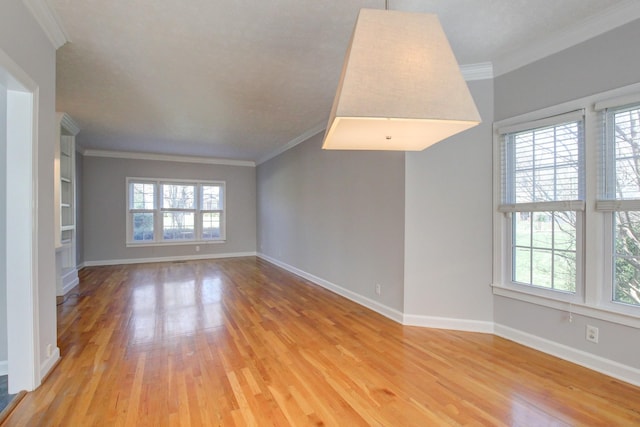 526 Christel Springs Dr, Clarksville, TN 37043 - unfurnished living room featuring plenty of natural light, crown molding, and light wood-style floors
