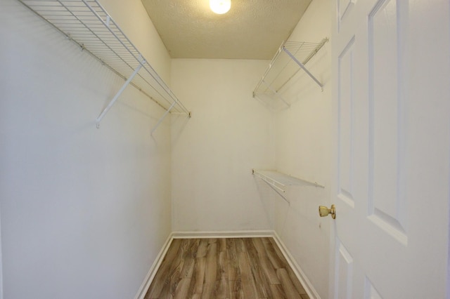 526 Christel Springs Dr, Clarksville, TN 37043 - walk in closet with wood finished floors