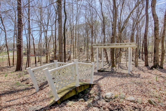 526 Christel Springs Dr, Clarksville, TN 37043 - view of yard