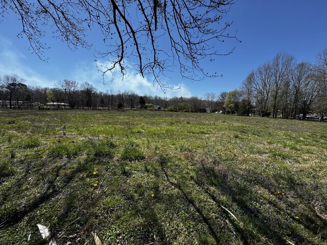 view of yard featuring a view of trees and a rural view