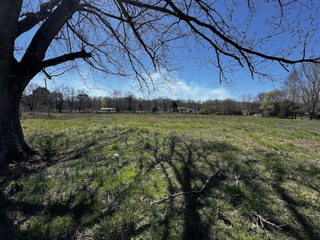 view of yard with a rural view and a forest view
