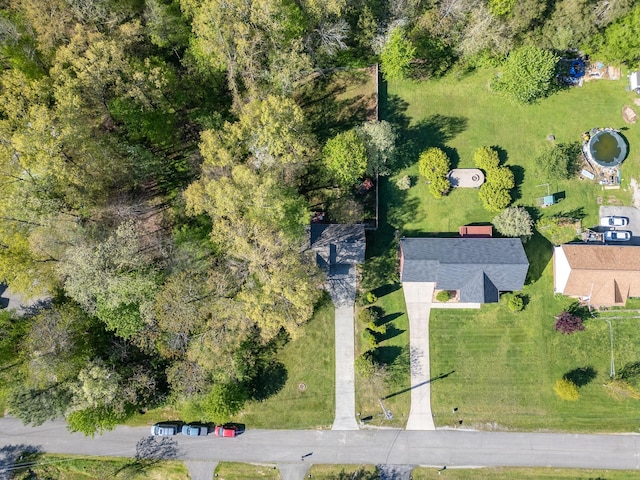 bird's eye view