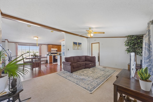 carpeted living area featuring a textured ceiling, a ceiling fan, and ornamental molding