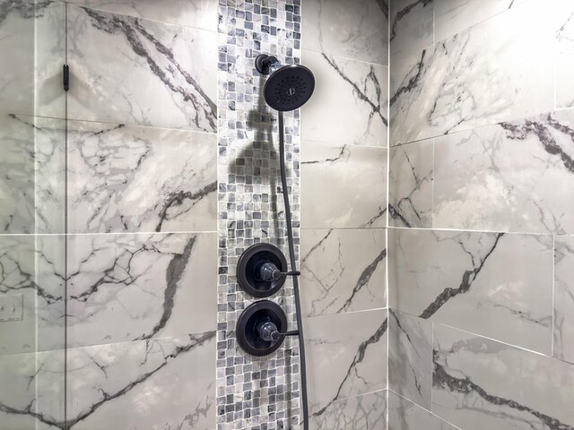 5113 Highland Lick Rd, Lewisburg, KY 42256 - details featuring a tile shower