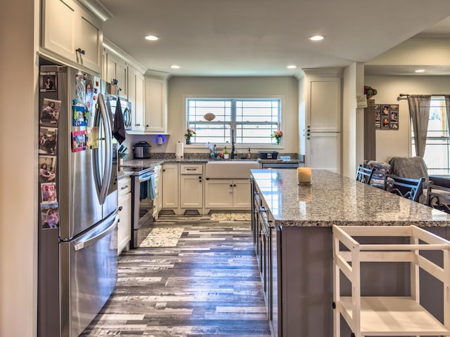 5113 Highland Lick Rd, Lewisburg, KY 42256 - kitchen with dark wood-type flooring, a sink, stainless steel appliances, and plenty of natural light