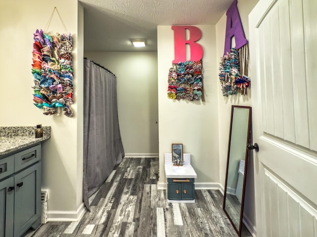 5113 Highland Lick Rd, Lewisburg, KY 42256 - full bath featuring baseboards, wood finished floors, vanity, and a textured ceiling