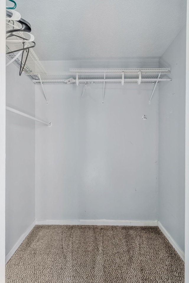106 Hampton Dr, La Vergne, TN 37086 - spacious closet with carpet floors