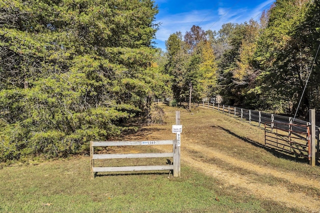 9395 Greenbriar Rd, Waverly, TN 37185 - view of yard