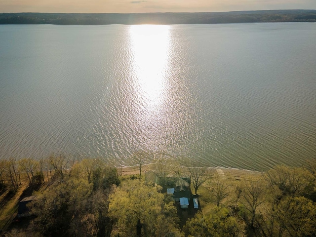 9395 Greenbriar Rd, Waverly, TN 37185 - aerial view of property and surrounding area with a nearby body of water