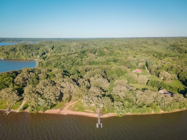 9395 Greenbriar Rd, Waverly, TN 37185 - aerial view of property and surrounding area with a forest and a nearby body of water