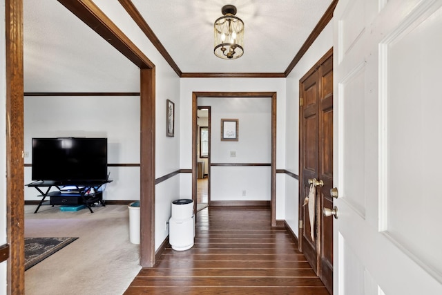 entryway with baseboards, ornamental molding, dark carpet, and dark wood finished floors