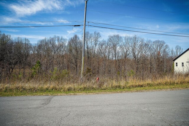 0 Lakewood Cir, Smithville, TN 37166 - photo 8