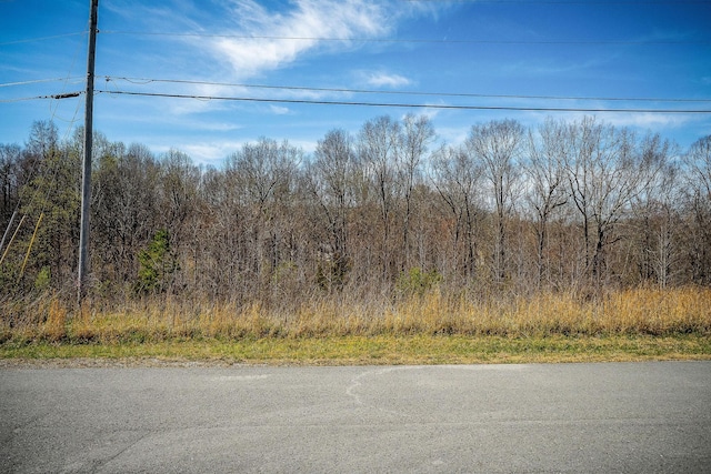 0 Lakewood Cir, Smithville, TN 37166 - photo 7