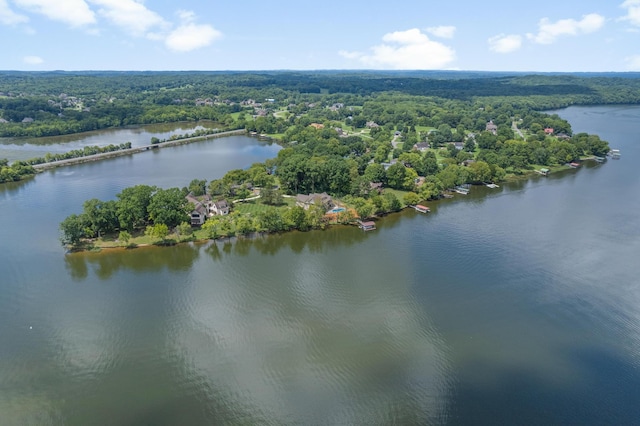 817 Burton Point Rd, Mount Juliet, TN 37122 - bird's eye view with a water view and a view of trees