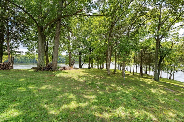 817 Burton Point Rd, Mount Juliet, TN 37122 - view of yard with a water view