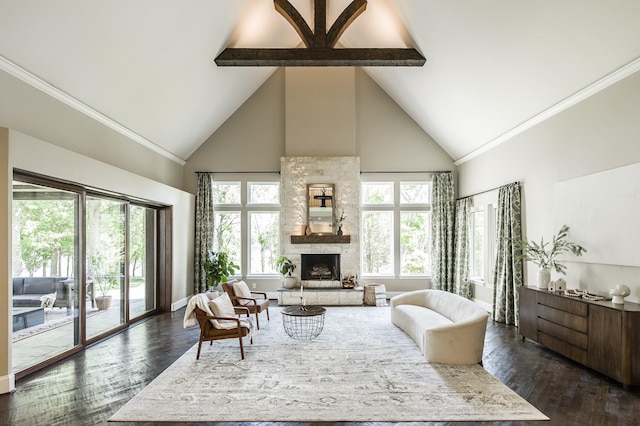 817 Burton Point Rd, Mount Juliet, TN 37122 - living room with a stone fireplace, high vaulted ceiling, dark wood-type flooring, and a healthy amount of sunlight
