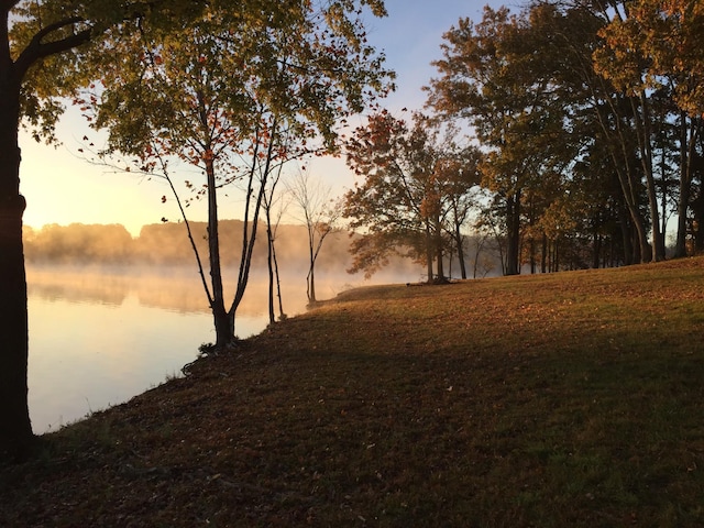 817 Burton Point Rd, Mount Juliet, TN 37122 - view of water feature