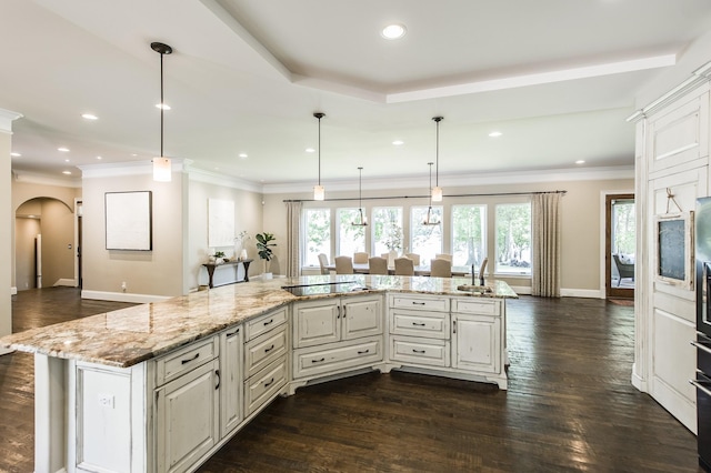 817 Burton Point Rd, Mount Juliet, TN 37122 - kitchen featuring ornamental molding, baseboards, arched walkways, dark wood-style floors, and white cabinets