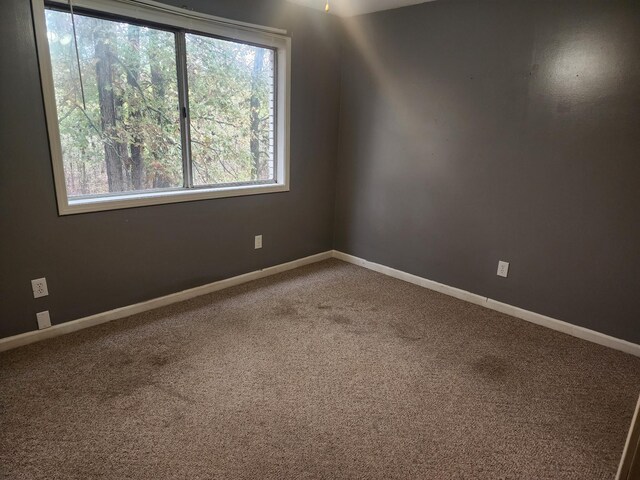 906 Edwards St, Madisonville, KY 42431 - spare room featuring baseboards and carpet flooring