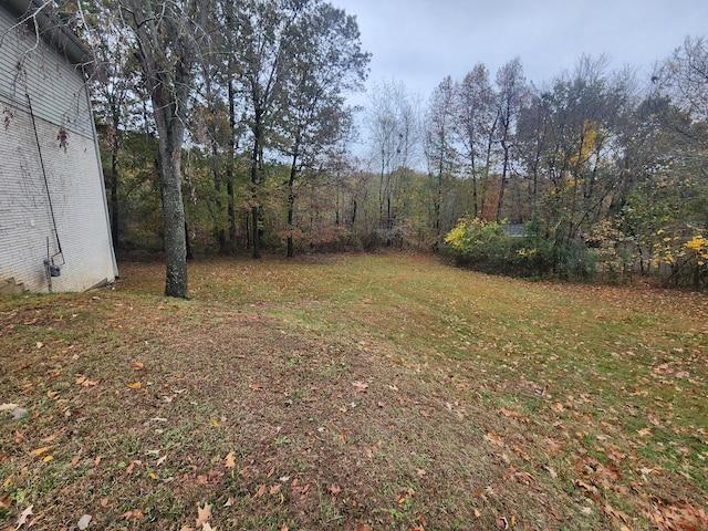 906 Edwards St, Madisonville, KY 42431 - view of yard with a forest view