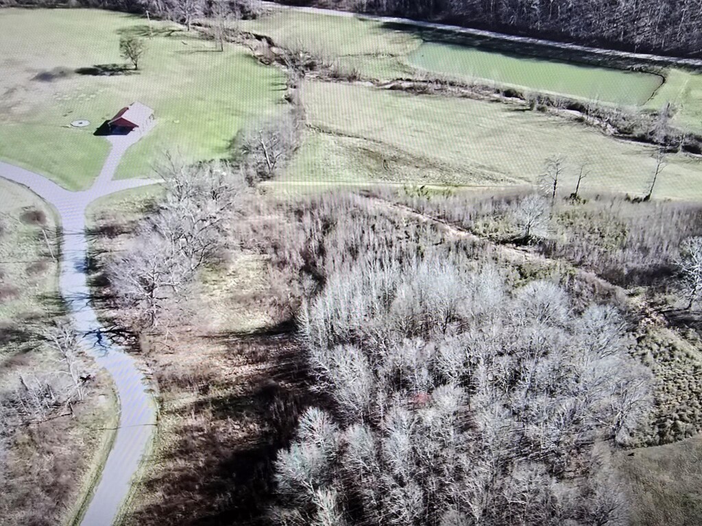 0 Buck Ct, Waverly, TN 37185 - photo 3